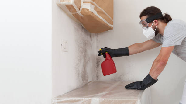 Professional Mold Inspection And Testing technician working in East Northport, NY